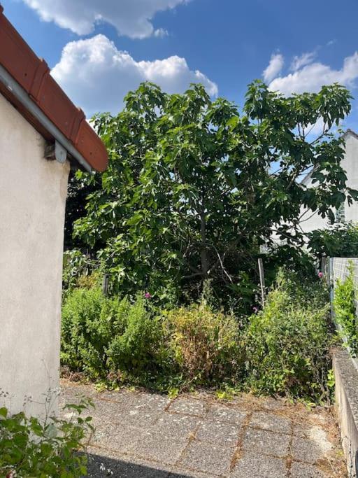 Lovely House Close To Paris 圣吉欧梅斯 外观 照片